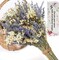 Dried Lavender & Baby's Breath Flowers Bundles, 2 Bunches Dried Flower Bouquet for Vase, Natural Gypsophila, Valentines Day Decor Present, Home, Wedding, Photography, Floral Arrangement, DIY